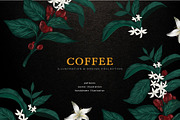 Coffee Illustration, an Illustration by Elysamunster (Thumbnail 1 of 7)