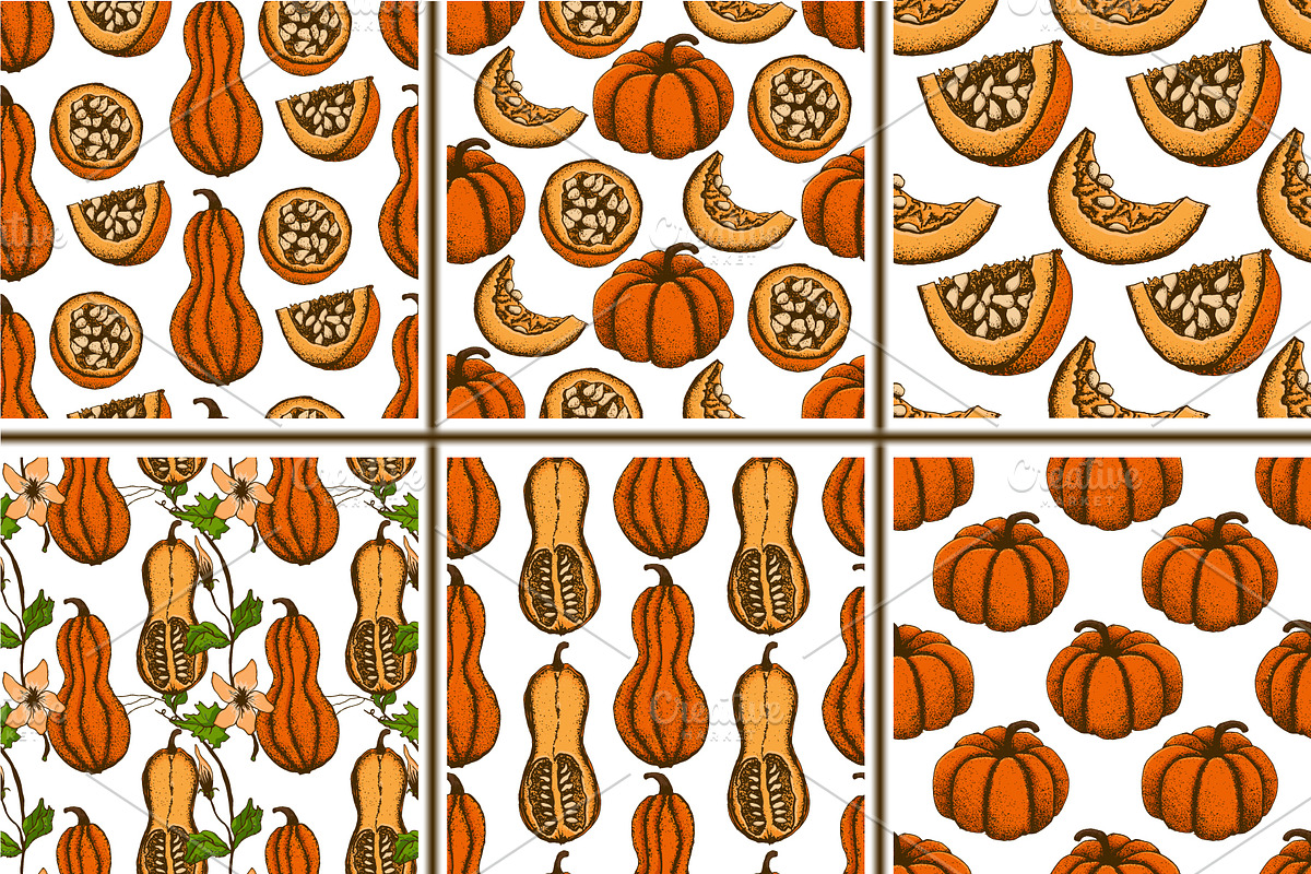 Hand drawn vintage pumpkins, a Decorative Illustration by Elena Mykhailenko (Photo 5 of 5)