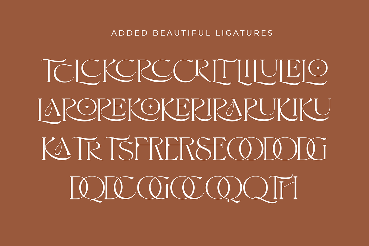 Selaris Modern Serif, a Serif Font by zeenesia (Photo 7 of 16)