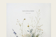 Wildflowers & Greenery Backgrounds, a Background Graphic by Anna Sokol (Thumbnail 4 of 12)