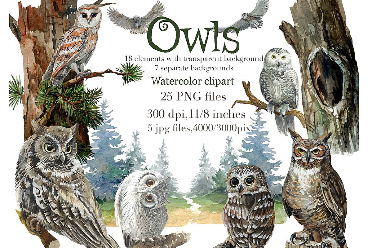 Owls in the forest .Woodland., an Animal Illustration by AkvarelRiver (Photo 1 of 9)