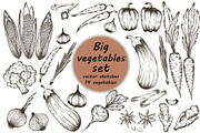 hand drawn vegetables vector set, a Food Illustration by Tierre3012 (Thumbnail 1 of 2)