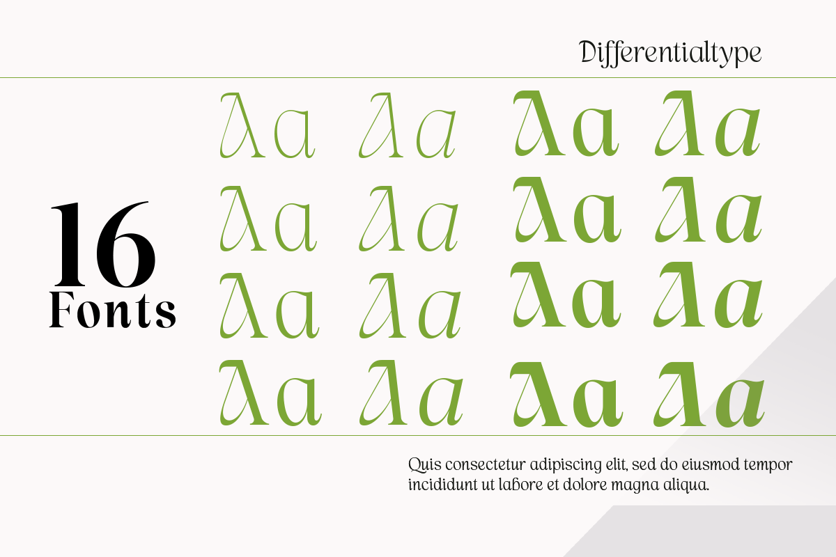 Lah Kagok, a Serif Font by Differentialtype (Photo 4 of 9)