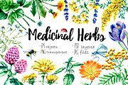 Watercolor medicinal herbs, a Healthcare Illustration by Vikeriya (Thumbnail 1 of 6)