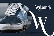 Voilstar Modern Display Serif, a Serif Font by timelesstype.co (Thumbnail 8 of 20)