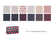 Wisconsin Illustrations Patterns Set, an Illustration by BeesDesign (Thumbnail 6 of 7)