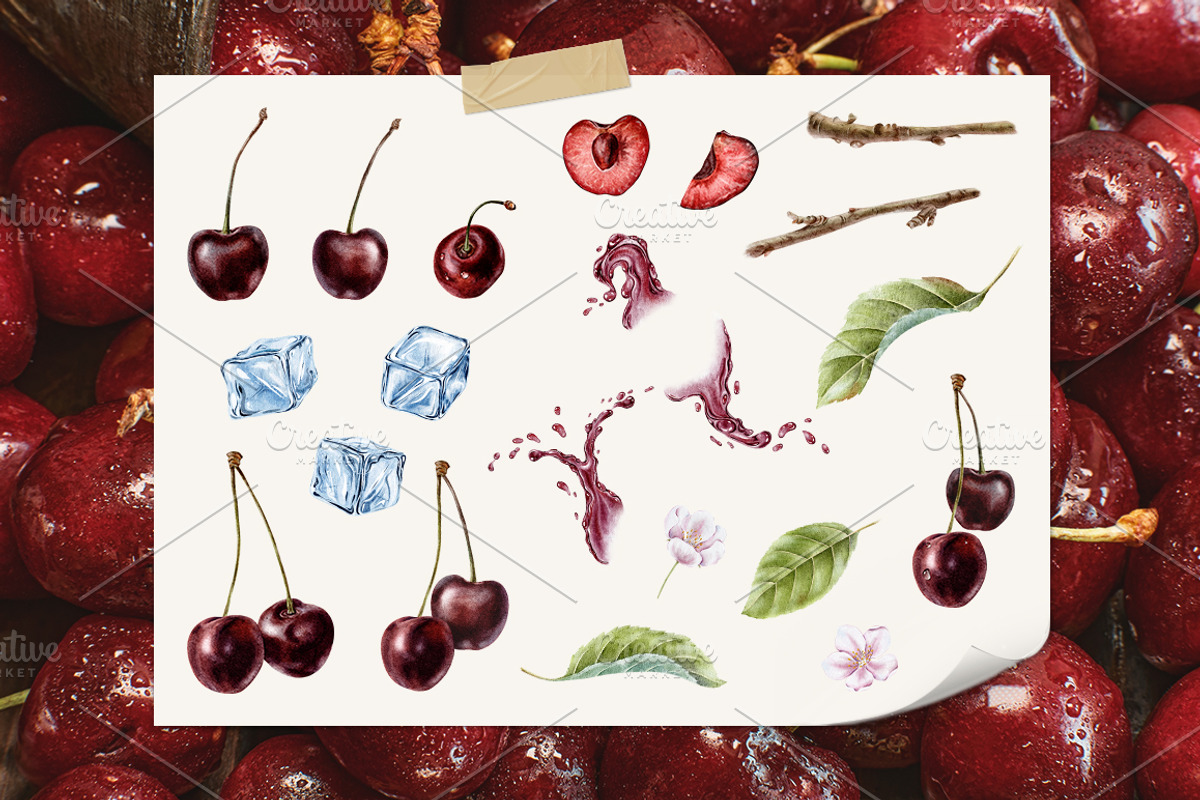 Cherry Watercolor Illustrations, a Food Illustration by Fedulova Art (Photo 2 of 13)