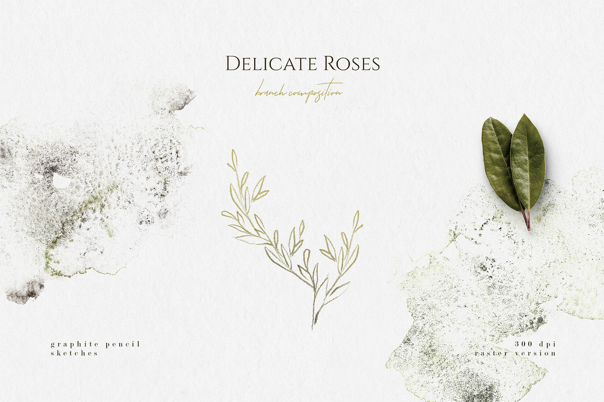 Delicate Roses - Hand Drawn Clipart, a Texture Illustration by Aquarellina (Photo 9 of 15)