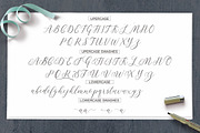 Lindage Script, a Script Font by josstype (Thumbnail 8 of 9)