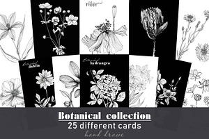 Botanical cards collection