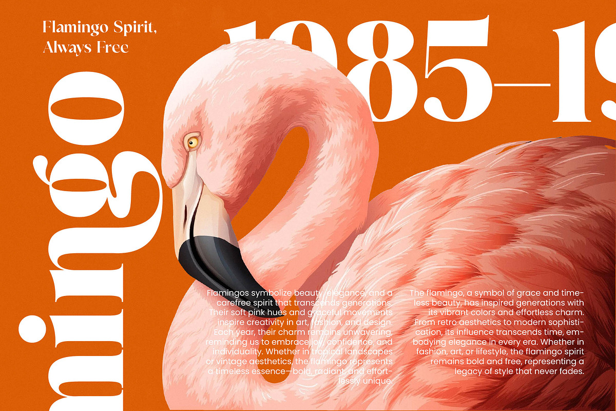 Mango Jungle Modern Bold Serif, a Serif Font by timelesstype.co (Photo 12 of 20)
