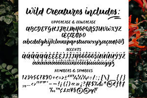 Wild Creatures Brush Font Family