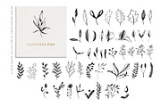 Studio Baked Font Collection, a Script Font by Creativeqube Design (Thumbnail 20 of 23)