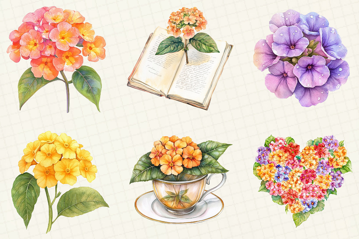 Watercolor Lantana Flower Clipart, an Illustration by OK Design (Photo 5 of 5)