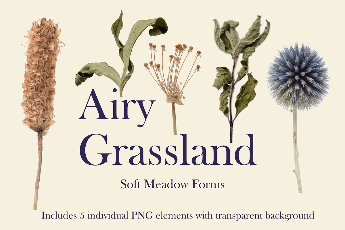 Airy Grassland — Soft Meadow Forms, an Object Graphic by Aga Silva (Photo 2 of 4)