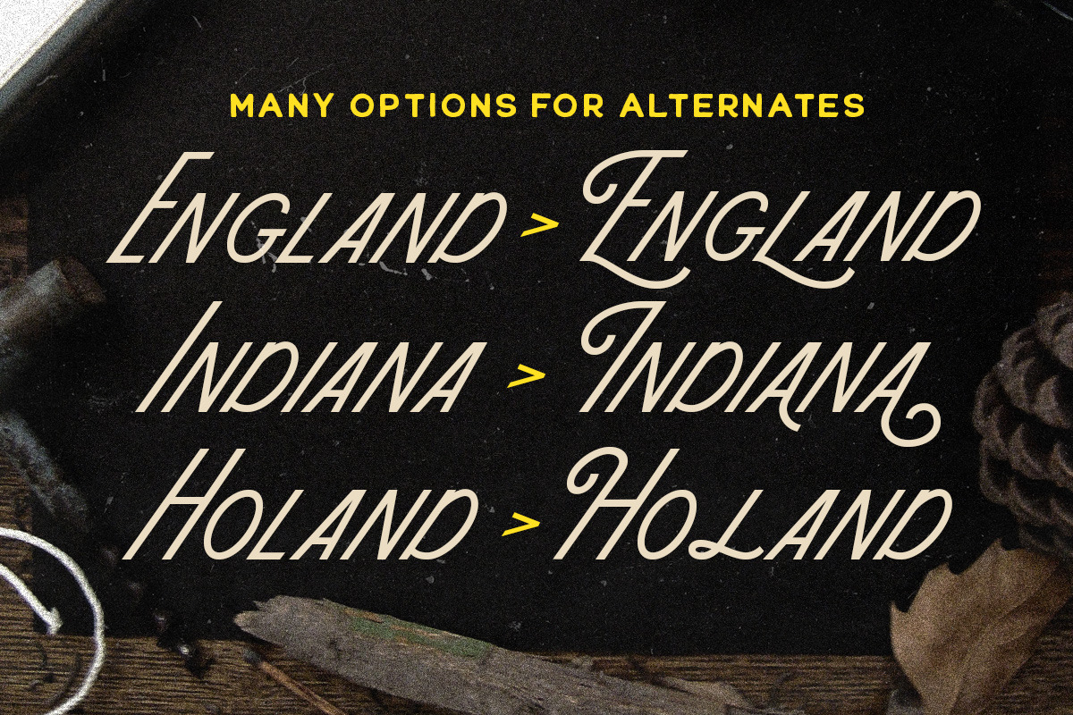 The Rowling Show Monoline Sans, a Sans Serif Font by Letterhend Studio (Photo 4 of 9)
