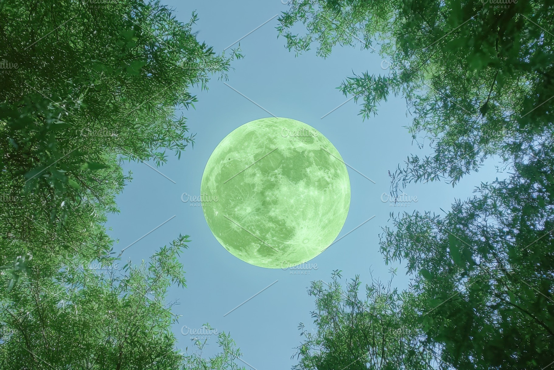Green moon illuminates trees in nigh, a Photo by Iftikhar Alam
