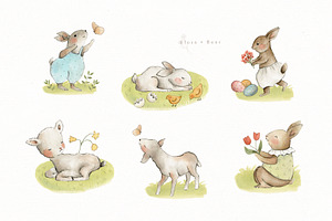 Spring Animals