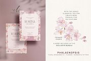 Pink Orchid Phalaenopsis Art, an Illustration by slowlivecreate (Thumbnail 5 of 7)