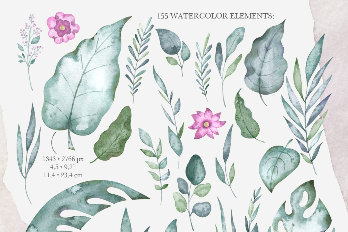 Watercolor cute dinosaurs set, an Animal Illustration by OrangePeafowlArt (Photo 3 of 11)