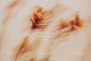 Aesthetic Blurry Floral Backgrounds, a Background Graphic by Altea Design Studio (Thumbnail 2 of 14)