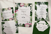 Protea - tropical collection, a Texture Illustration by Backyard Rose (Thumbnail 2 of 22)