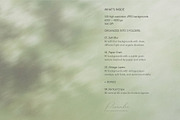 PENUMBRA Soft Green Blur Backgrounds, a Background Graphic by alonahaidash (Thumbnail 7 of 15)