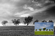 Black & White Photoshop Actions 1, an Action Add-On by ShutterSweets (Thumbnail 2 of 5)