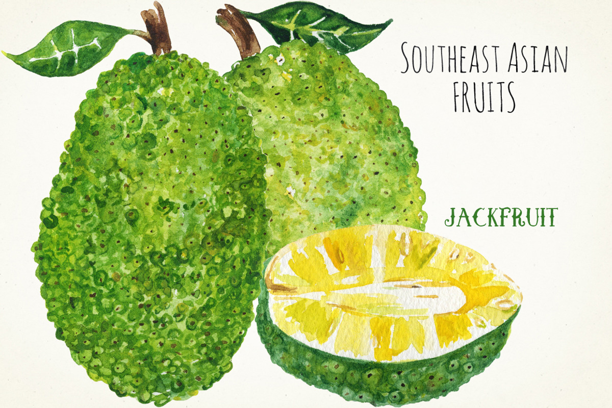 Tropical Asian fruits watercolors, a Food Illustration by LABFcreations (Photo 4 of 6)