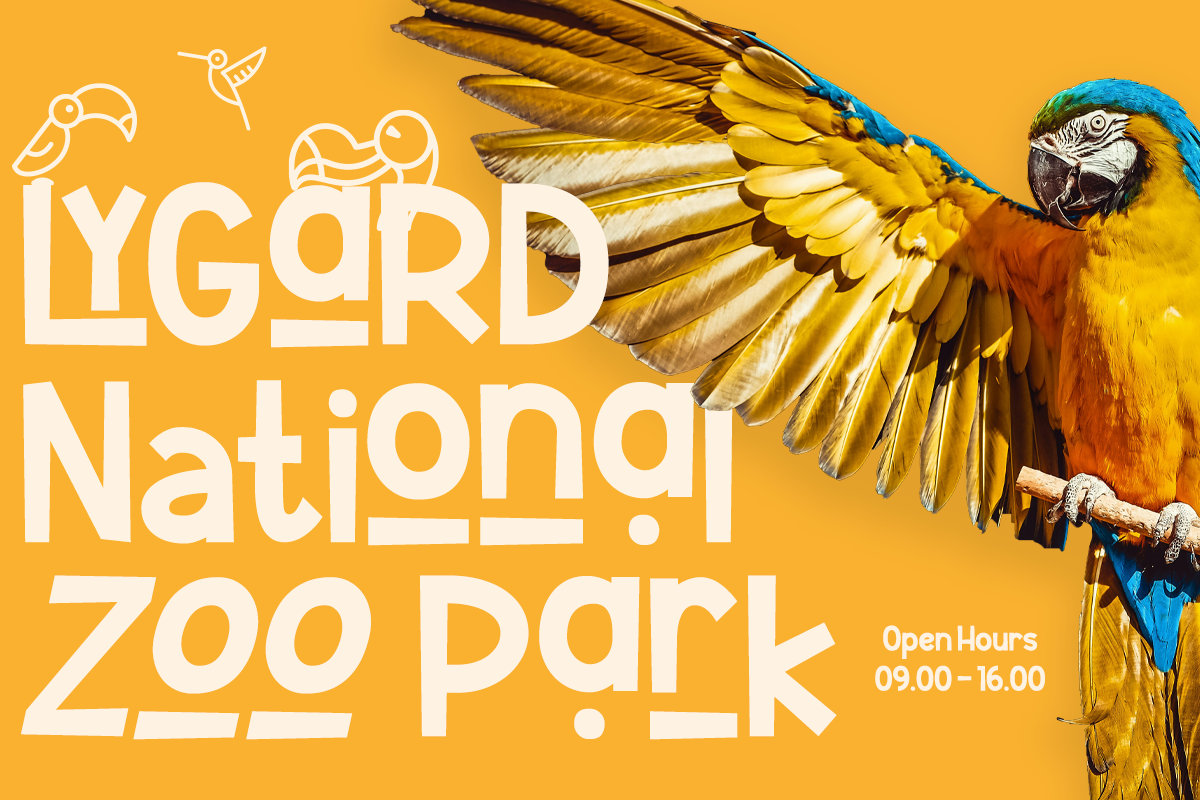 Korachi - Fun and Playful Font, a Sans Serif Font by Say Studio (Photo 10 of 13)