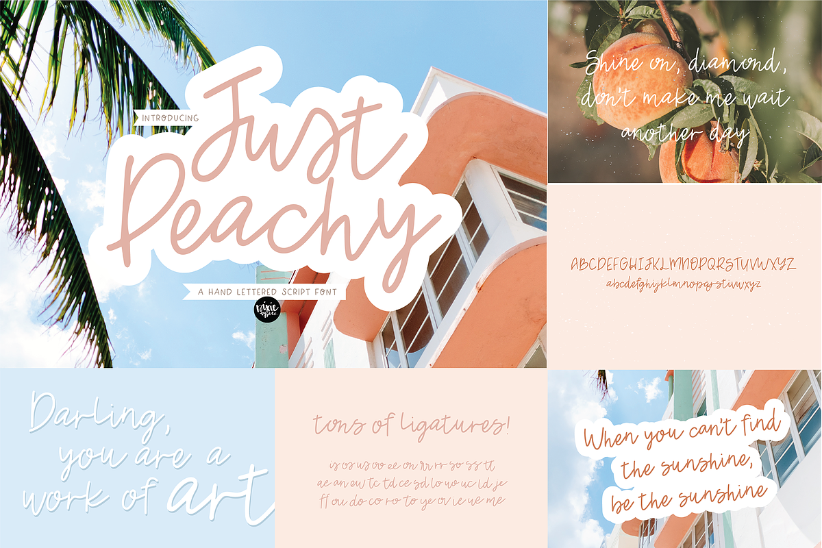 SUMMER Font Bundle - Hand Lettered, a Script Font by Blush Font Co. (Photo 7 of 12)