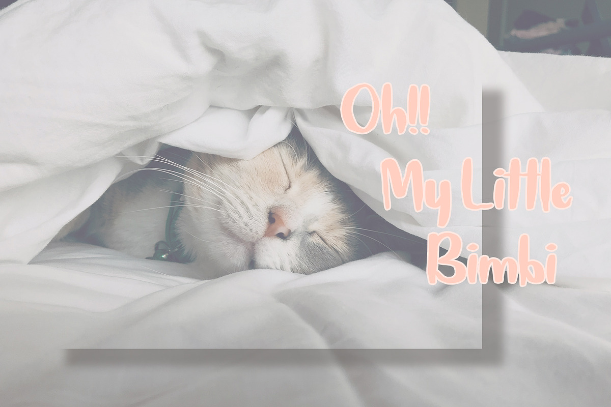 Jena & Gula | Love and Playfull Font preview 4