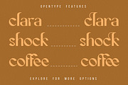 Cecision, a Serif Font by Wangsinawang Studio (Thumbnail 3 of 11)
