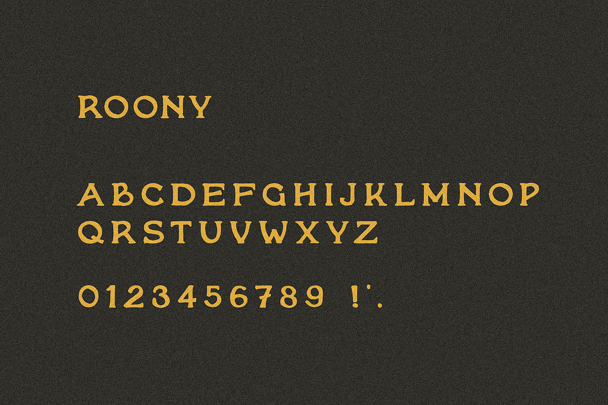Roony I A Handmade Serif Font, a Sans Serif Font by Taylor Penton (Photo 4 of 4)