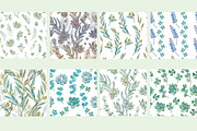 Wedding set of succulents, an Illustration by Elizaveta (Thumbnail 2 of 6)