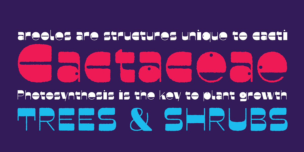 Faddy, a Sans Serif Font by Ani Dimitrova (Photo 14 of 19)