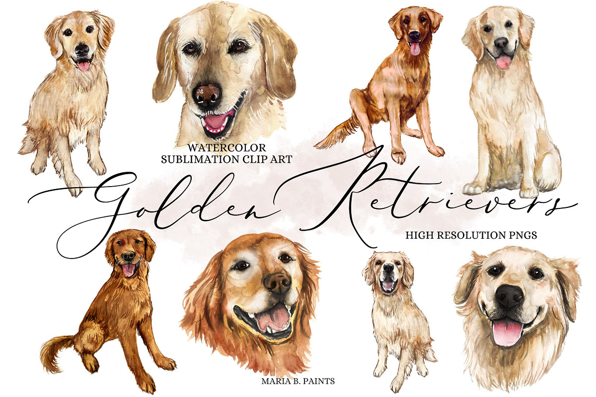Golden Retriever Clipart Dog Set, an Animal Illustration by Maria B. Paints (Photo 1 of 2)