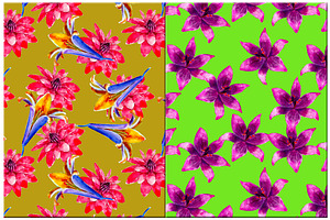 Tropical Flowers Patterns