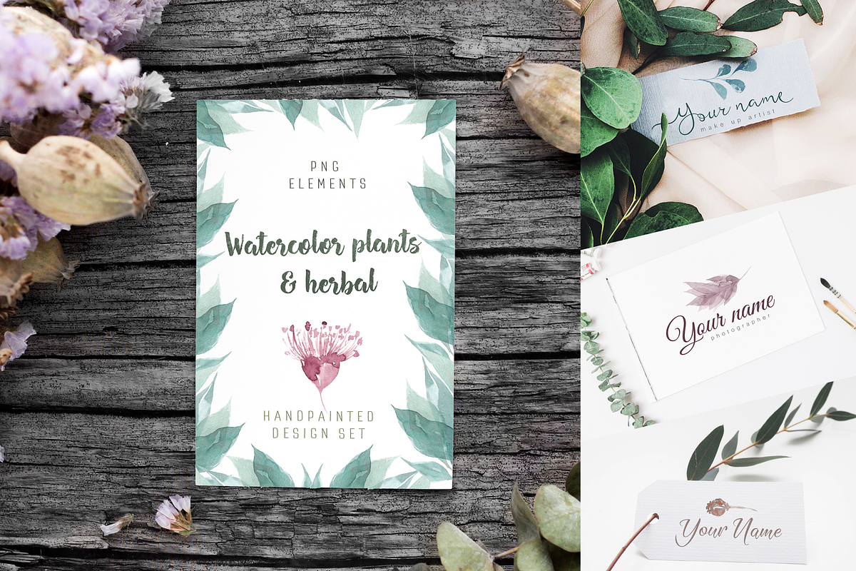 Watercolor plants & herbal elements., a Decorative Illustration by Re_Margarita_Art (Photo 9 of 12)