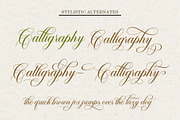 Dealova, a Script Font by HKL Studio (Thumbnail 5 of 11)