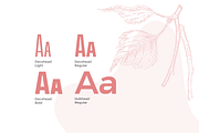 Wedding Font Pairing, a Sans Serif Font by Headfonts (Thumbnail 2 of 8)