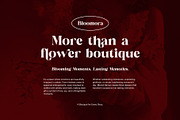 Cringe Elegant Serif Font, a Serif Font by Perfectype (Thumbnail 3 of 8)