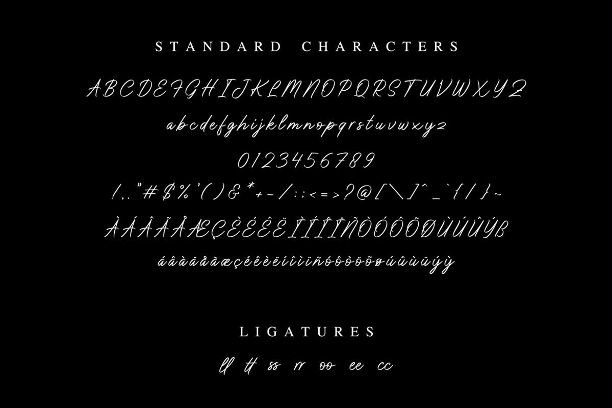 Don Carlitto - Signature Font preview 5