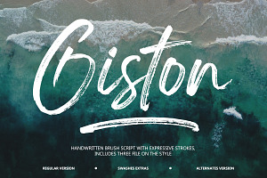 Giston, a Script Font by Lucky Type