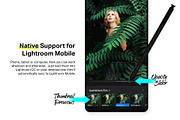 100 Film Lightroom Presets and LUTs, a Preset Add-On by SparkleStock (Thumbnail 6 of 12)