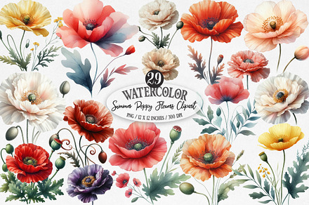 Summer Poppy Flowers Clipart, an Illustration by Designking