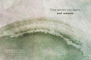 Understory Organic Backgrounds, a Background Graphic by alonahaidash (Thumbnail 14 of 15)