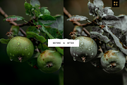 4 Sunday Cakes – Lightroom Presets, a Preset Add-On by SHOOM HOUSE (Thumbnail 10 of 10)