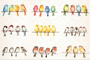 Watercolor Birds on a Wire Clipart, an Illustration by Rose Art (Thumbnail 3 of 3)