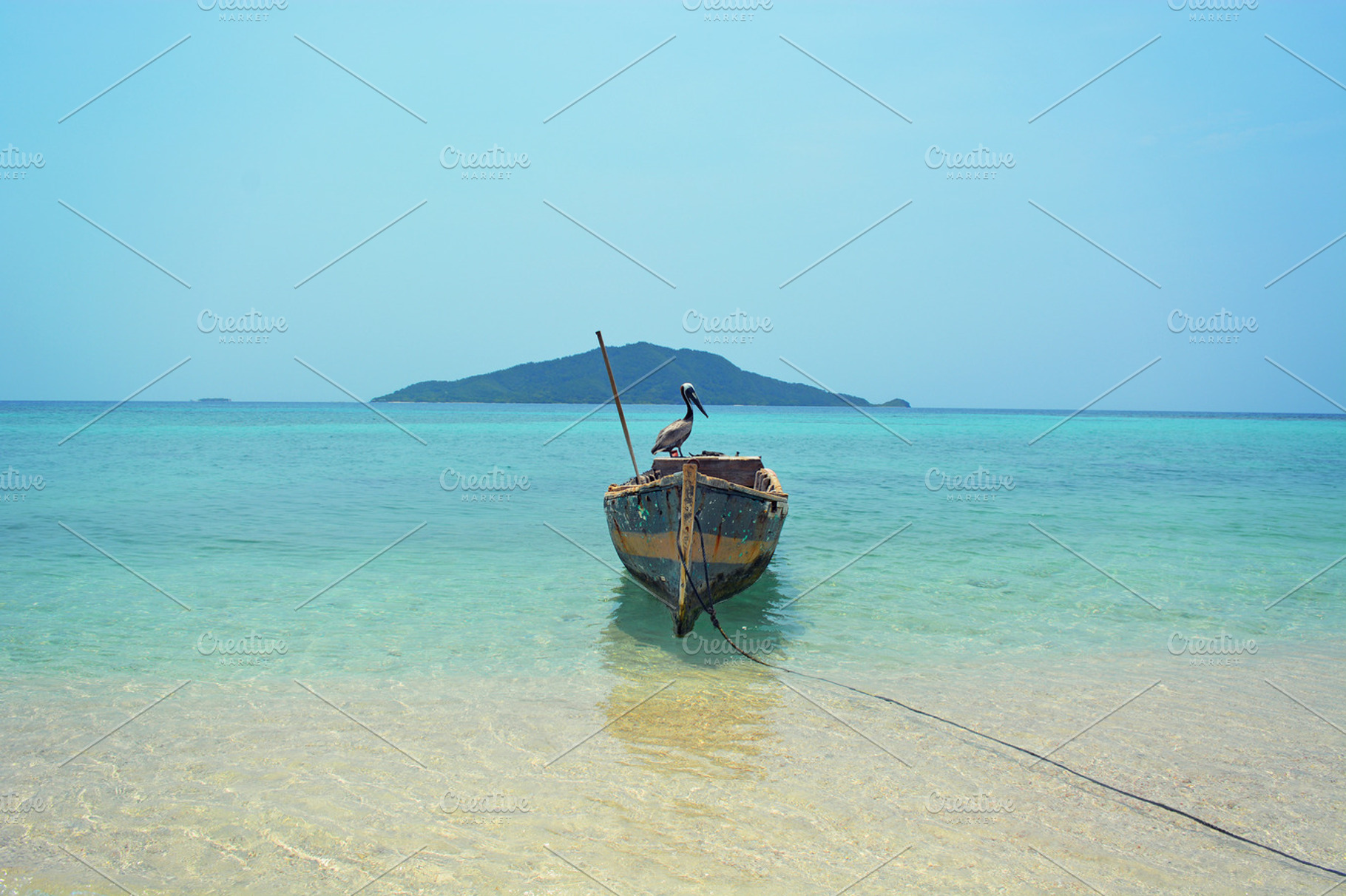Pelican Resting In A Boat Stock Photo Containing Pelican And Boat
